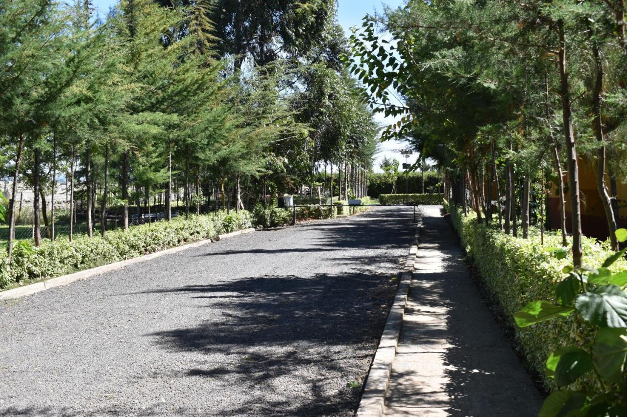 Anka Resort Naro Moru Dış mekan fotoğraf