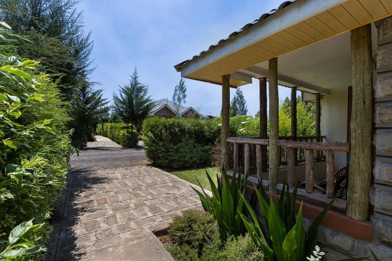 Anka Resort Naro Moru Dış mekan fotoğraf